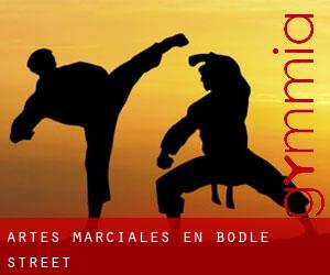 Artes marciales en Bodle Street