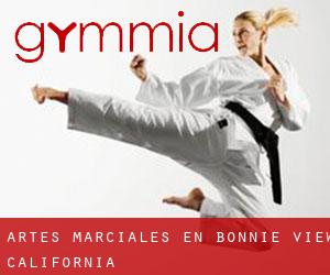 Artes marciales en Bonnie View (California)