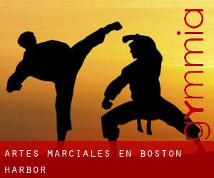 Artes marciales en Boston Harbor