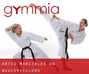 Artes marciales en Bouconvillers