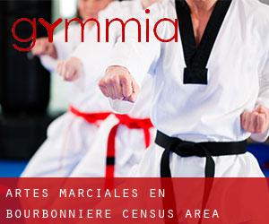 Artes marciales en Bourbonnière (census area)