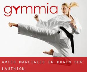 Artes marciales en Brain-sur-l'Authion