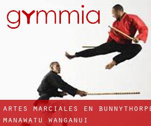 Artes marciales en Bunnythorpe (Manawatu-Wanganui)