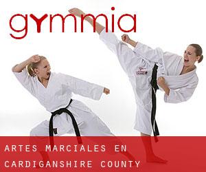 Artes marciales en Cardiganshire County