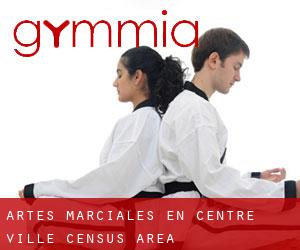 Artes marciales en Centre-Ville (census area)