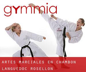 Artes marciales en Chambon (Languedoc-Rosellón)