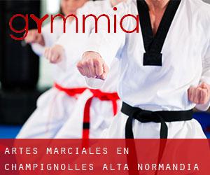 Artes marciales en Champignolles (Alta Normandía)