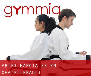 Artes marciales en Châtellerault