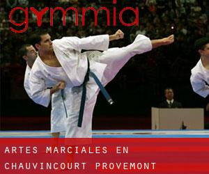 Artes marciales en Chauvincourt-Provemont