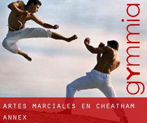 Artes marciales en Cheatham Annex