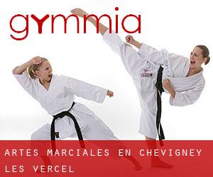 Artes marciales en Chevigney-lès-Vercel