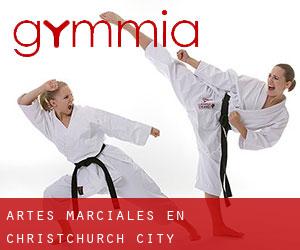 Artes marciales en Christchurch City