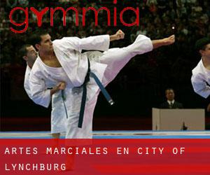 Artes marciales en City of Lynchburg