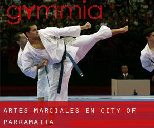 Artes marciales en City of Parramatta