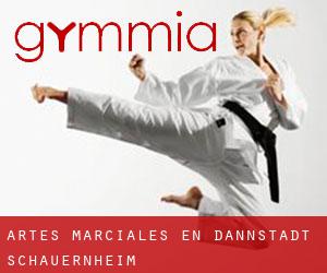 Artes marciales en Dannstadt-Schauernheim
