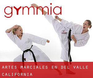 Artes marciales en Del Valle (California)