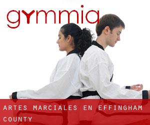 Artes marciales en Effingham County