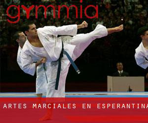 Artes marciales en Esperantina