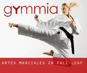 Artes marciales en Fall Leaf