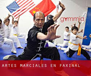 Artes marciales en Faxinal