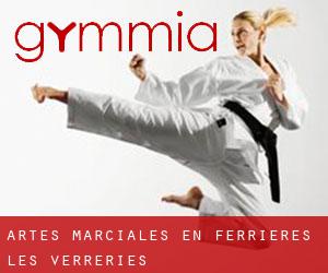 Artes marciales en Ferrières-les-Verreries