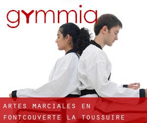 Artes marciales en Fontcouverte-la Toussuire