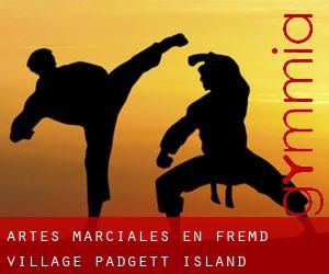 Artes marciales en Fremd Village-Padgett Island