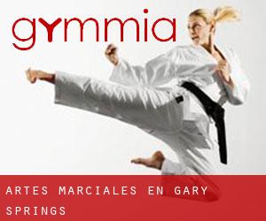 Artes marciales en Gary Springs