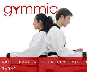 Artes marciales en Gemeente De Marne