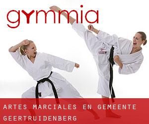 Artes marciales en Gemeente Geertruidenberg