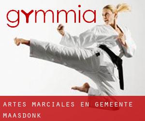 Artes marciales en Gemeente Maasdonk