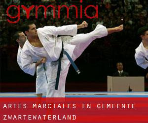 Artes marciales en Gemeente Zwartewaterland