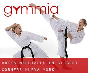 Artes marciales en Gilbert Corners (Nueva York)