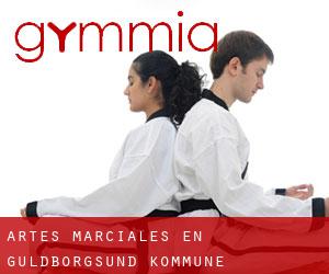 Artes marciales en Guldborgsund Kommune