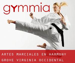 Artes marciales en Harmony Grove (Virginia Occidental)