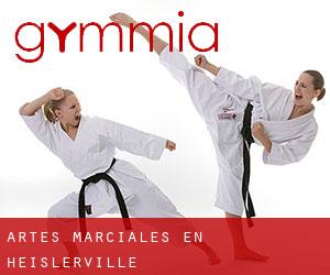 Artes marciales en Heislerville
