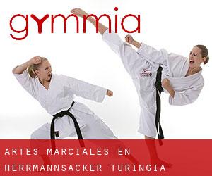 Artes marciales en Herrmannsacker (Turingia)