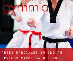 Artes marciales en Indian Springs (Carolina del Norte)