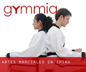 Artes marciales en Ipiaú