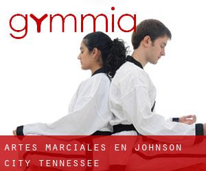 Artes marciales en Johnson City (Tennessee)