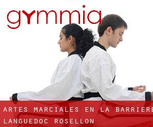 Artes marciales en La Barriére (Languedoc-Rosellón)