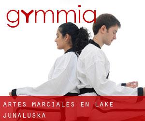 Artes marciales en Lake Junaluska