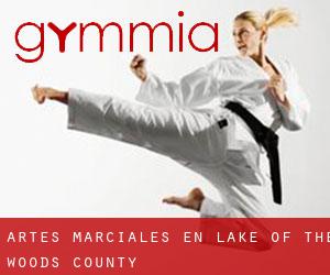 Artes marciales en Lake of the Woods County