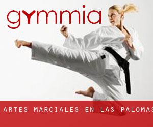 Artes marciales en Las Palomas