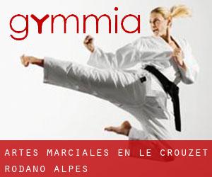 Artes marciales en Le Crouzet (Ródano-Alpes)