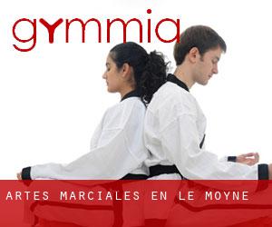 Artes marciales en Le Moyne