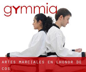 Artes marciales en L'Honor-de-Cos