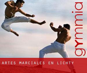 Artes marciales en Lichty