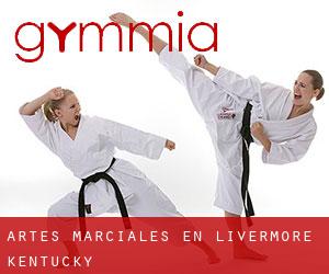 Artes marciales en Livermore (Kentucky)