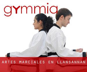 Artes marciales en Llansannan